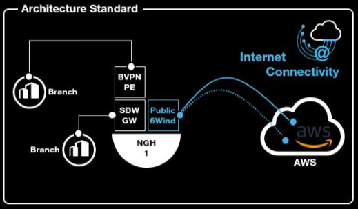 Description of the Standard architecture
